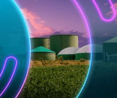 (re)energisa lança nova unidade de negócios: Bio Soluções